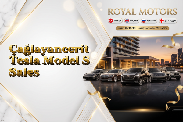 Çağlayancerit Tesla Model S Sales