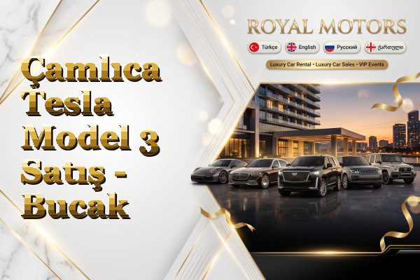 Çamlıca Tesla Model 3 Satış - Bucak