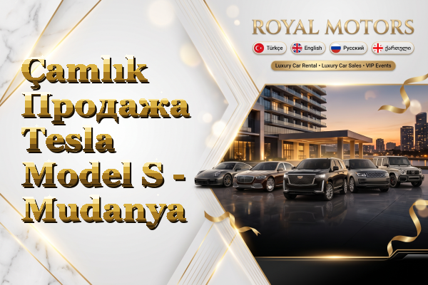 Çamlık Продажа Tesla Model S - Mudanya