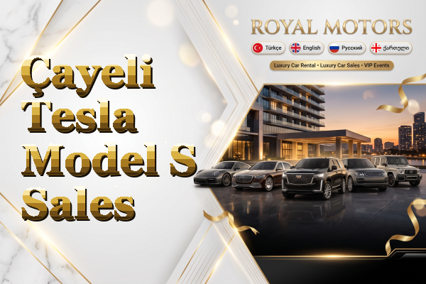 Çayeli Tesla Model S Sales