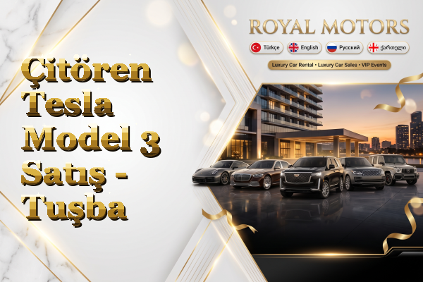 Çitören Tesla Model 3 Satış - Tuşba