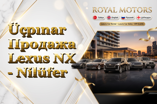 Üçpınar Продажа Lexus NX - Nilüfer