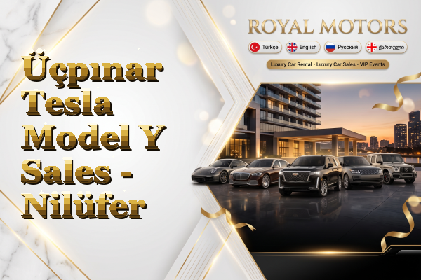 Üçpınar Tesla Model Y Sales - Nilüfer