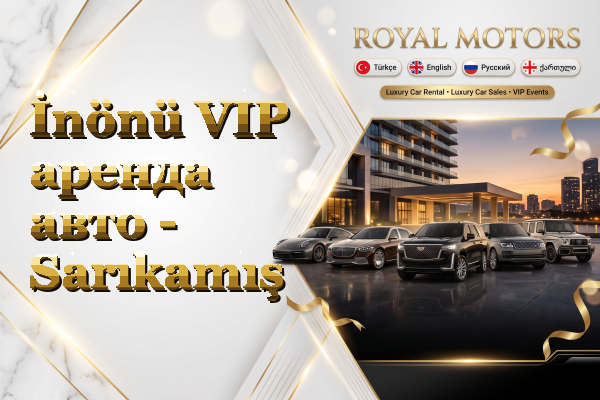 İnönü VIP аренда авто - Sarıkamış