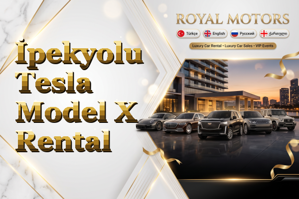 İpekyolu Tesla Model X Rental