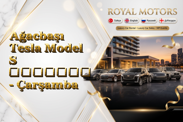 Ağacbaşı Tesla Model S გაყიდვა - Çarşamba