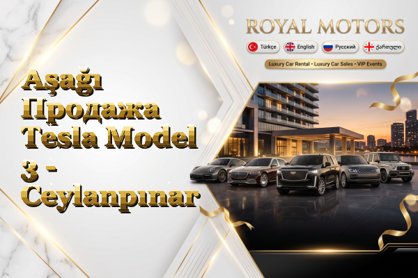 Aşağı Продажа Tesla Model 3 - Ceylanpınar