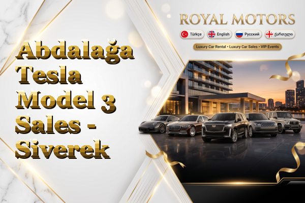 Abdalağa Tesla Model 3 Sales - Siverek