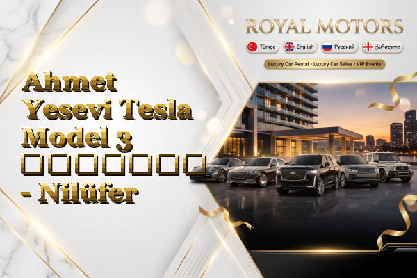 Ahmet Yesevi Tesla Model 3 გაყიდვა - Nilüfer