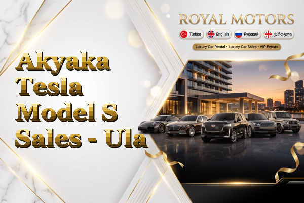 Akyaka Tesla Model S Sales - Ula