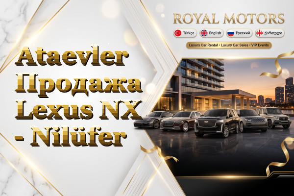 Ataevler Продажа Lexus NX - Nilüfer