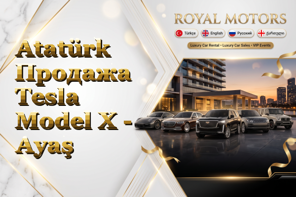 Atatürk Продажа Tesla Model X - Ayaş