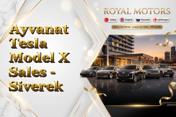 Ayvanat Tesla Model X Sales - Siverek