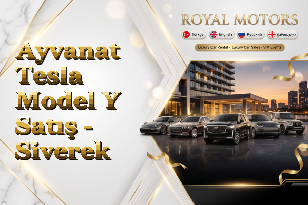 Ayvanat Tesla Model Y Satış - Siverek