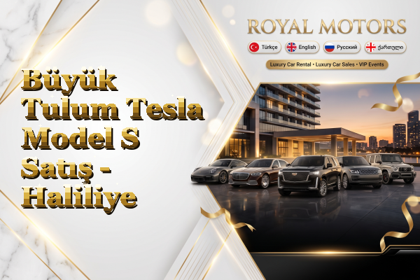 Büyük Tulum Tesla Model S Satış - Haliliye