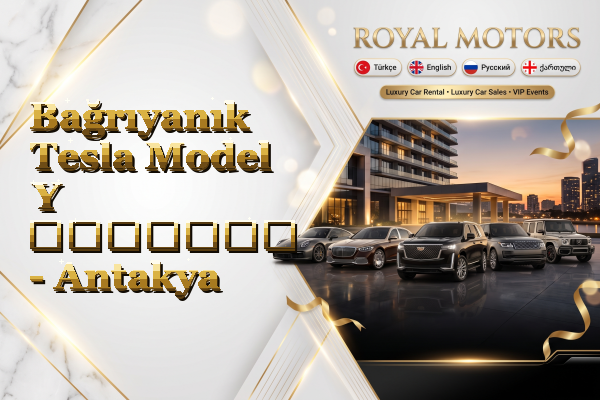 Bağrıyanık Tesla Model Y გაყიდვა - Antakya