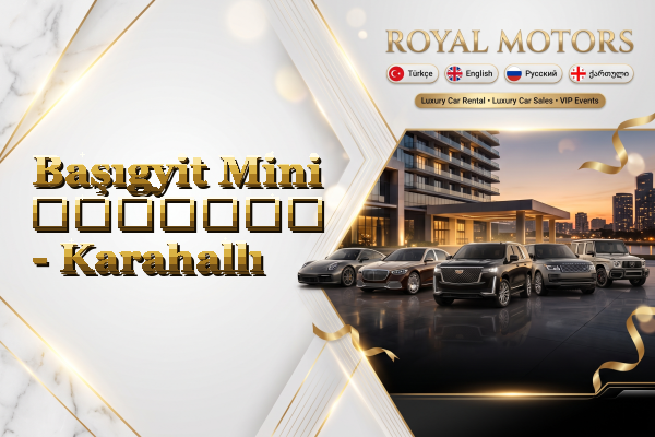 Başıgyit Mini გაყიდვა - Karahallı