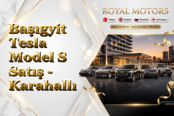 Başıgyit Tesla Model S Satış - Karahallı