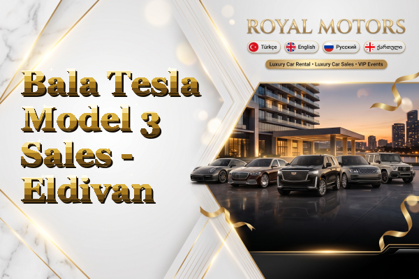 Bala Tesla Model 3 Sales - Eldivan