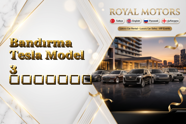 Bandırma Tesla Model 3 გაყიდვა