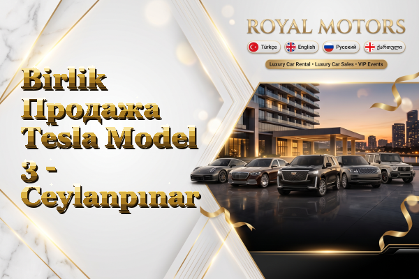 Birlik Продажа Tesla Model 3 - Ceylanpınar