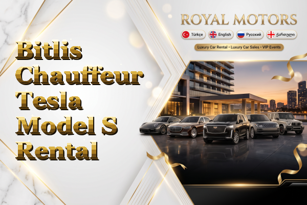 Bitlis Chauffeur Tesla Model S Rental