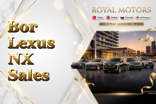 Bor Lexus NX Sales
