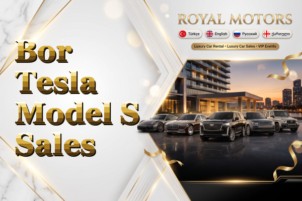 Bor Tesla Model S Sales