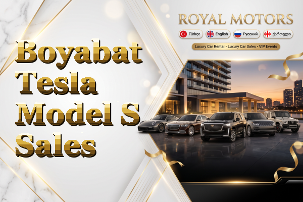 Boyabat Tesla Model S Sales