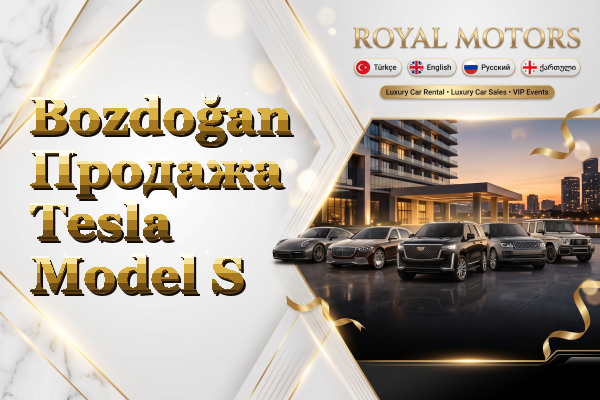 Bozdoğan Продажа Tesla Model S
