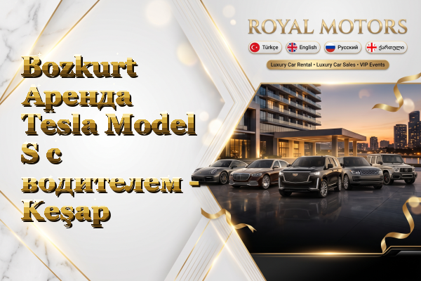 Bozkurt Аренда Tesla Model S с водителем - Keşap