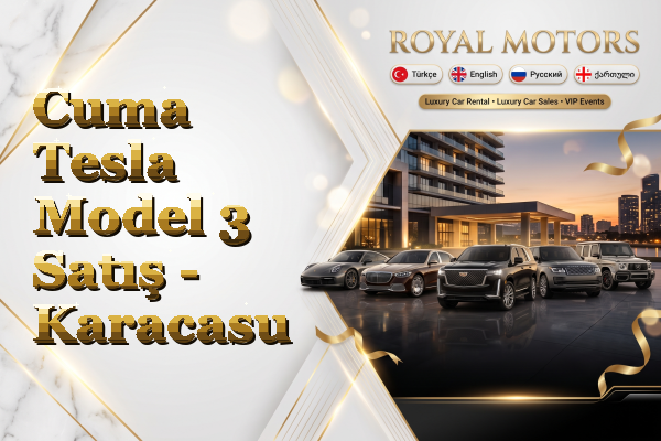 Cuma Tesla Model 3 Satış - Karacasu