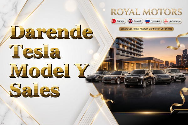 Darende Tesla Model Y Sales