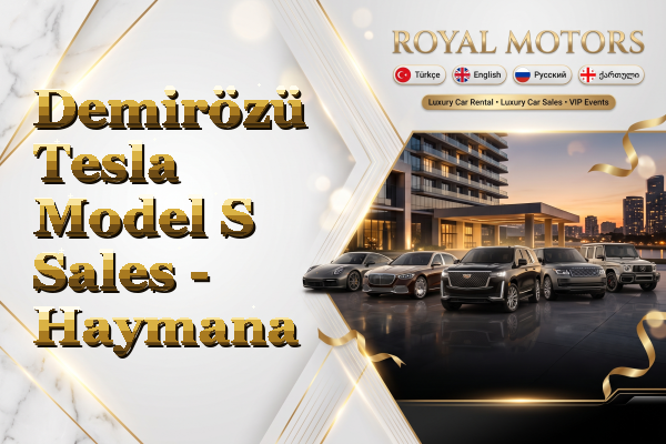 Demirözü Tesla Model S Sales - Haymana