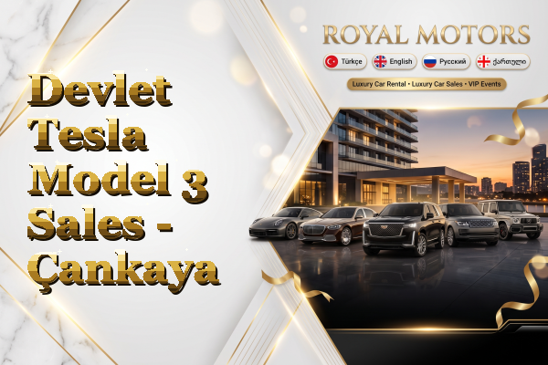 Devlet Tesla Model 3 Sales - Çankaya