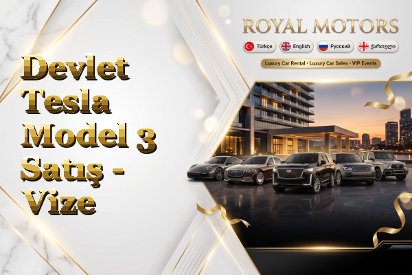 Devlet Tesla Model 3 Satış - Vize