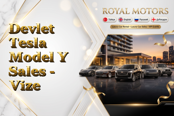 Devlet Tesla Model Y Sales - Vize
