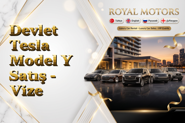 Devlet Tesla Model Y Satış - Vize