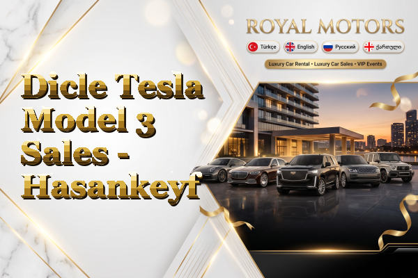 Dicle Tesla Model 3 Sales - Hasankeyf