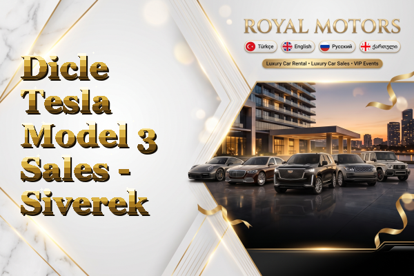 Dicle Tesla Model 3 Sales - Siverek
