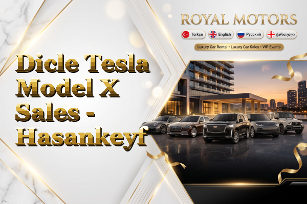 Dicle Tesla Model X Sales - Hasankeyf