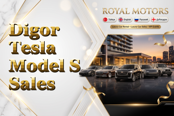 Digor Tesla Model S Sales