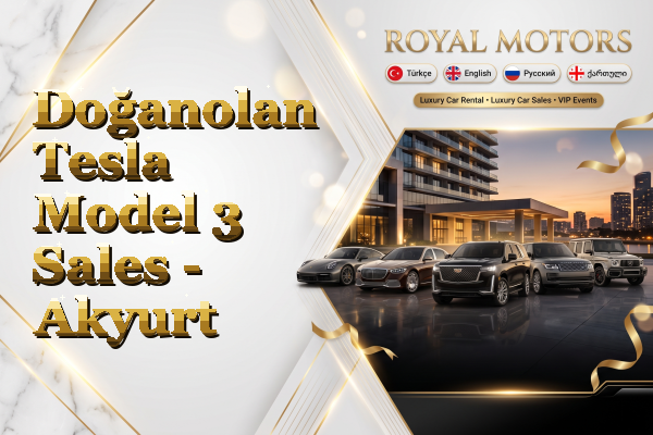 Doğanolan Tesla Model 3 Sales - Akyurt