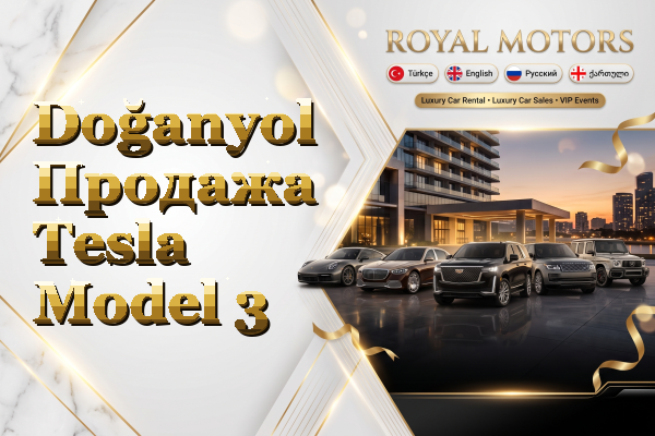 Doğanyol Продажа Tesla Model 3
