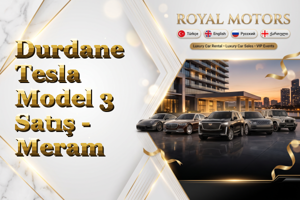 Durdane Tesla Model 3 Satış - Meram