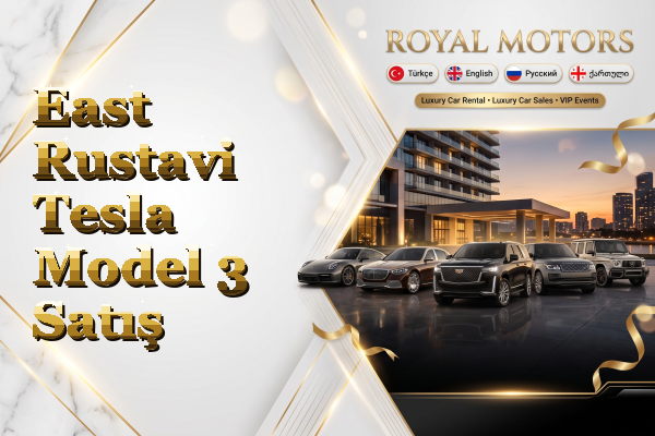East Rustavi Tesla Model 3 Satış
