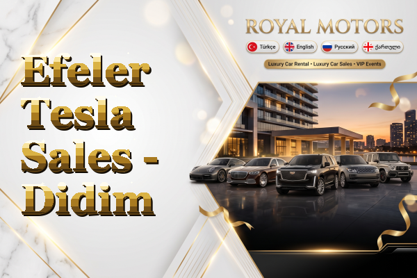 Efeler Tesla Sales - Didim
