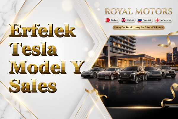 Erfelek Tesla Model Y Sales