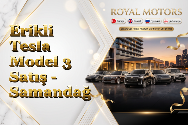 Erikli Tesla Model 3 Satış - Samandağ