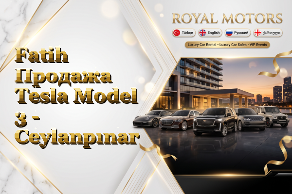 Fatih Продажа Tesla Model 3 - Ceylanpınar